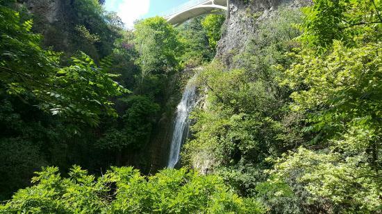 National Botanical Garden of Georgia